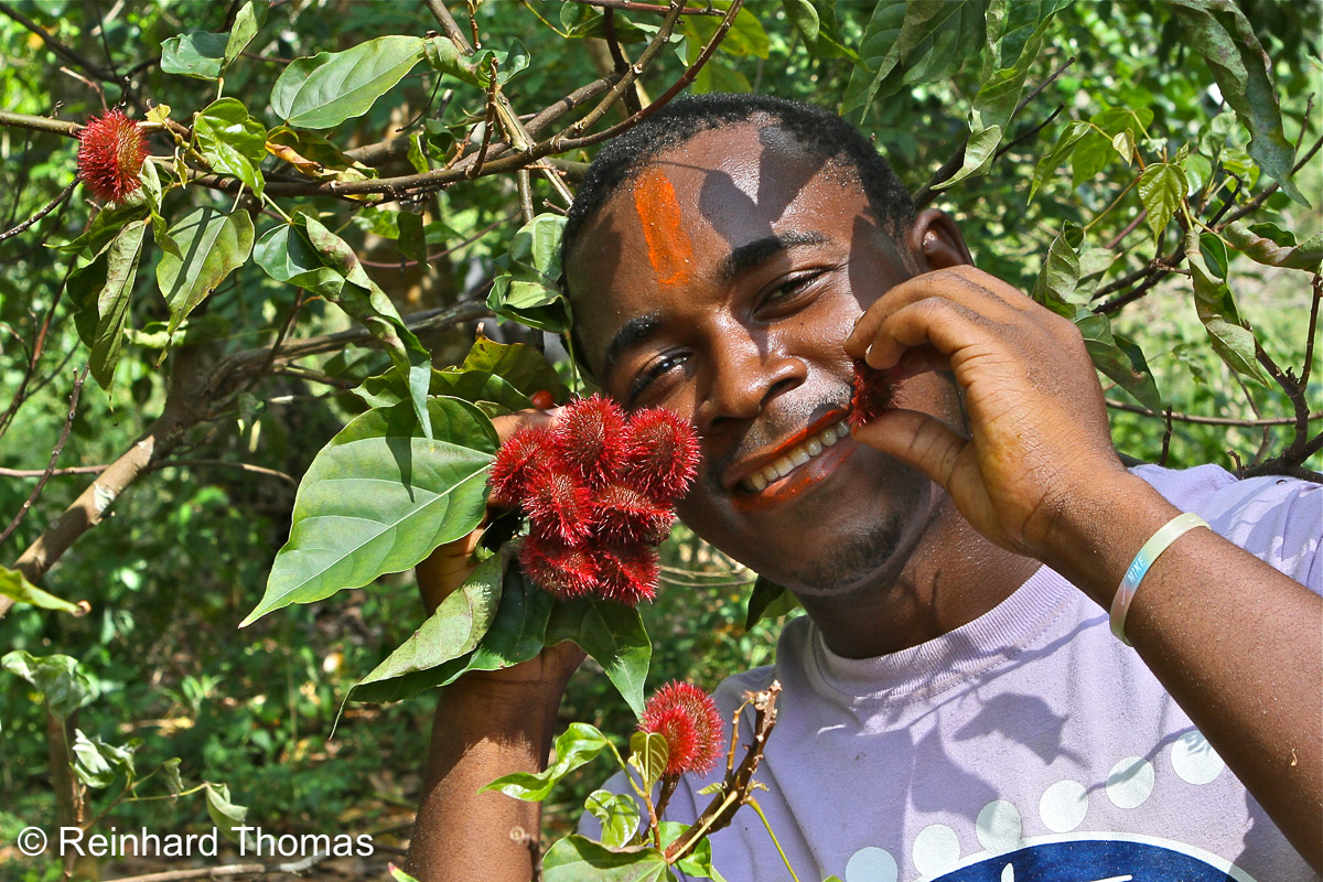 How to apply colour from the Lipstick tree fruit by Reinhard Thomas ©